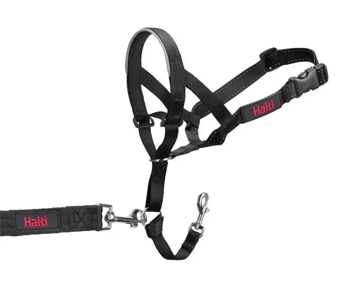 HALTI - Black Head Collar