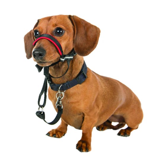 HALTI - Optifit Head Collar