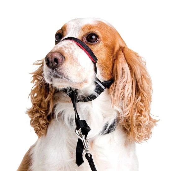 HALTI - Optifit Head Collar