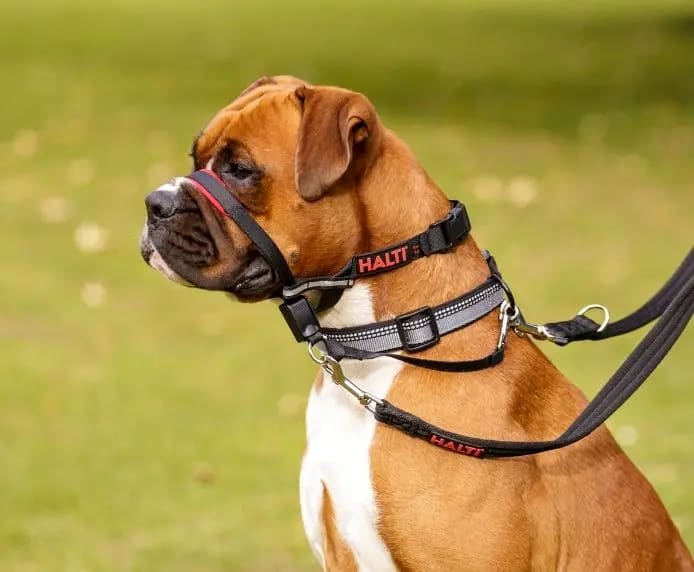 HALTI - Optifit Head Collar