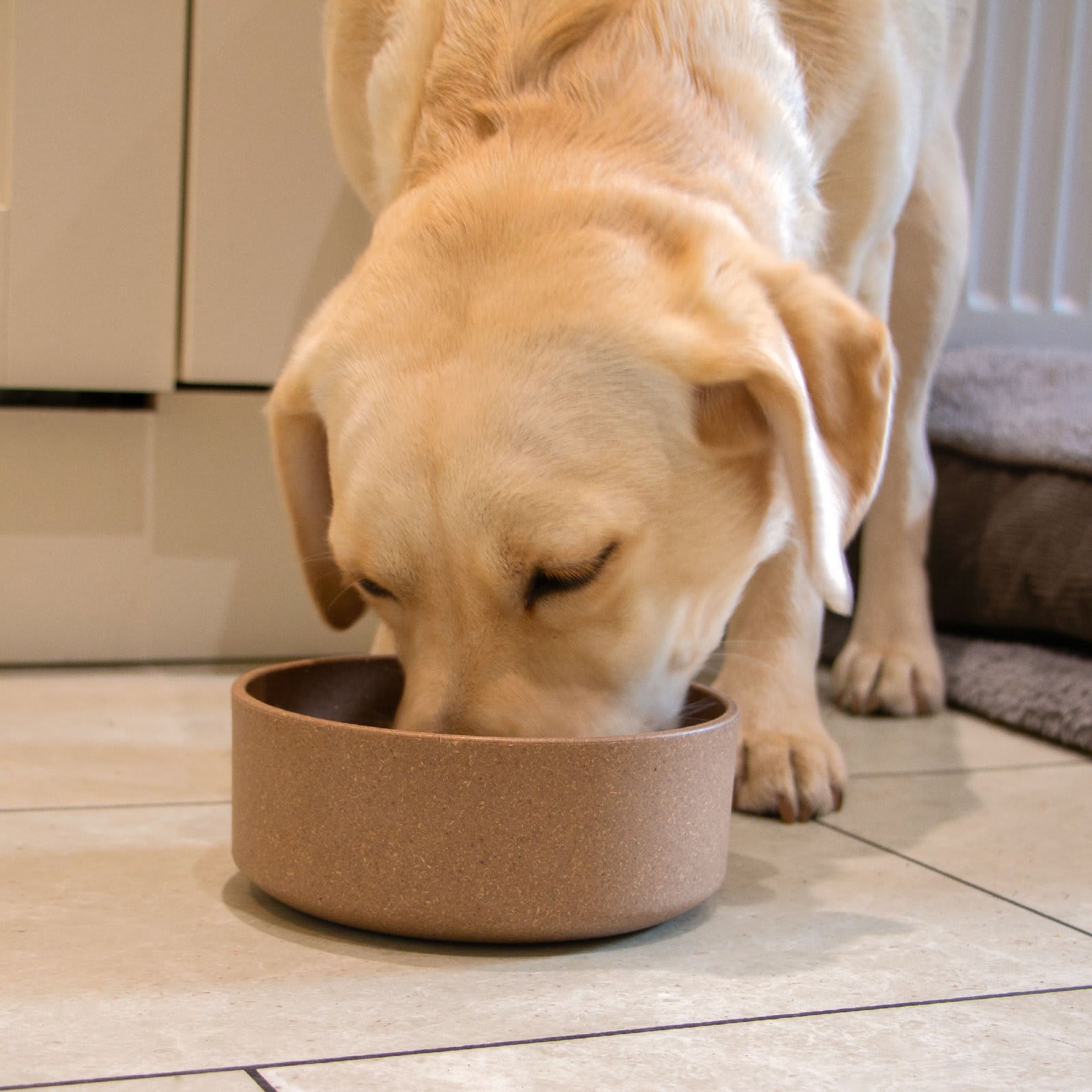 Eco Bamboo Dog Bowl