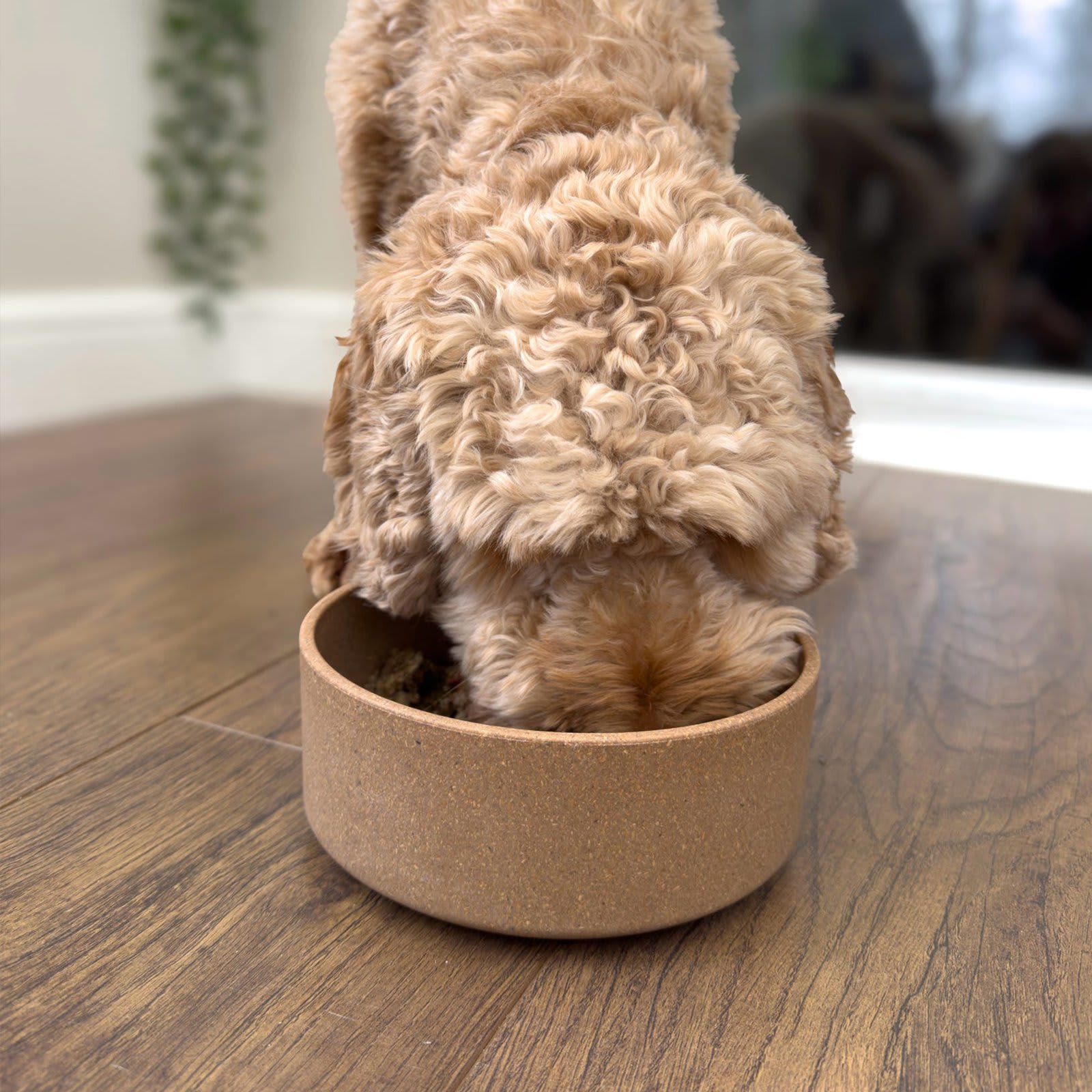 Eco Bamboo Dog Bowl