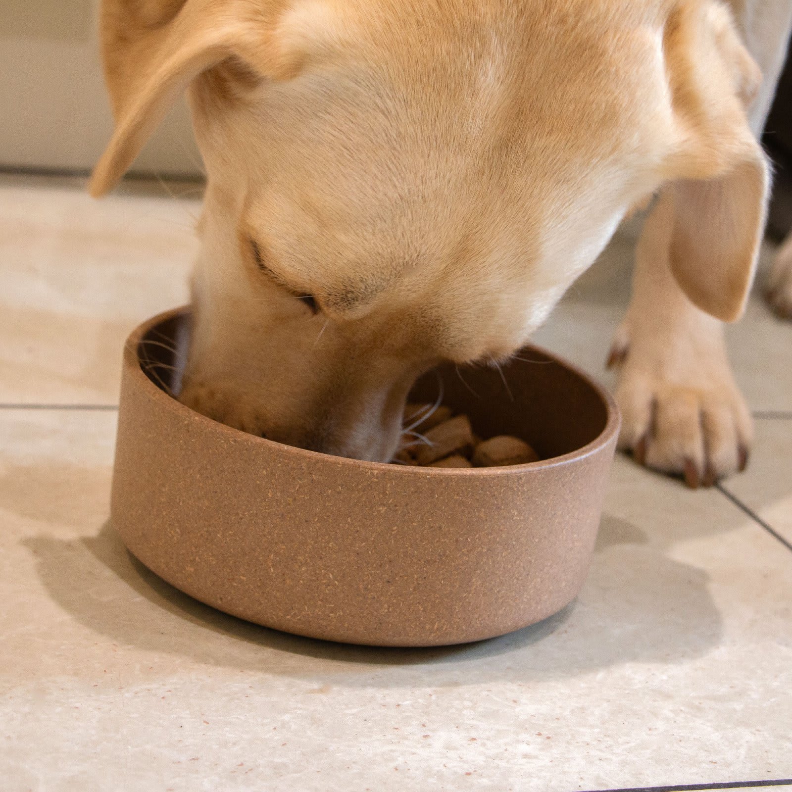 Eco Bamboo Dog Bowl