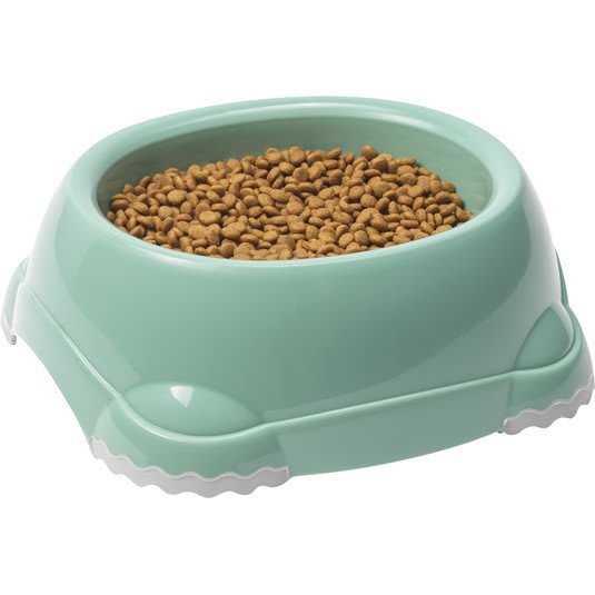 Smarty Dog Bowl - Soft Green