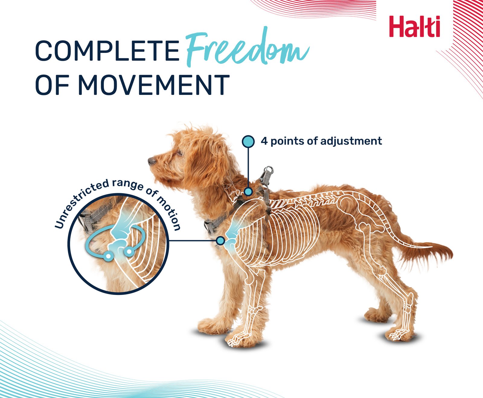 HALTI Anatomy Puppy Harness - Grey