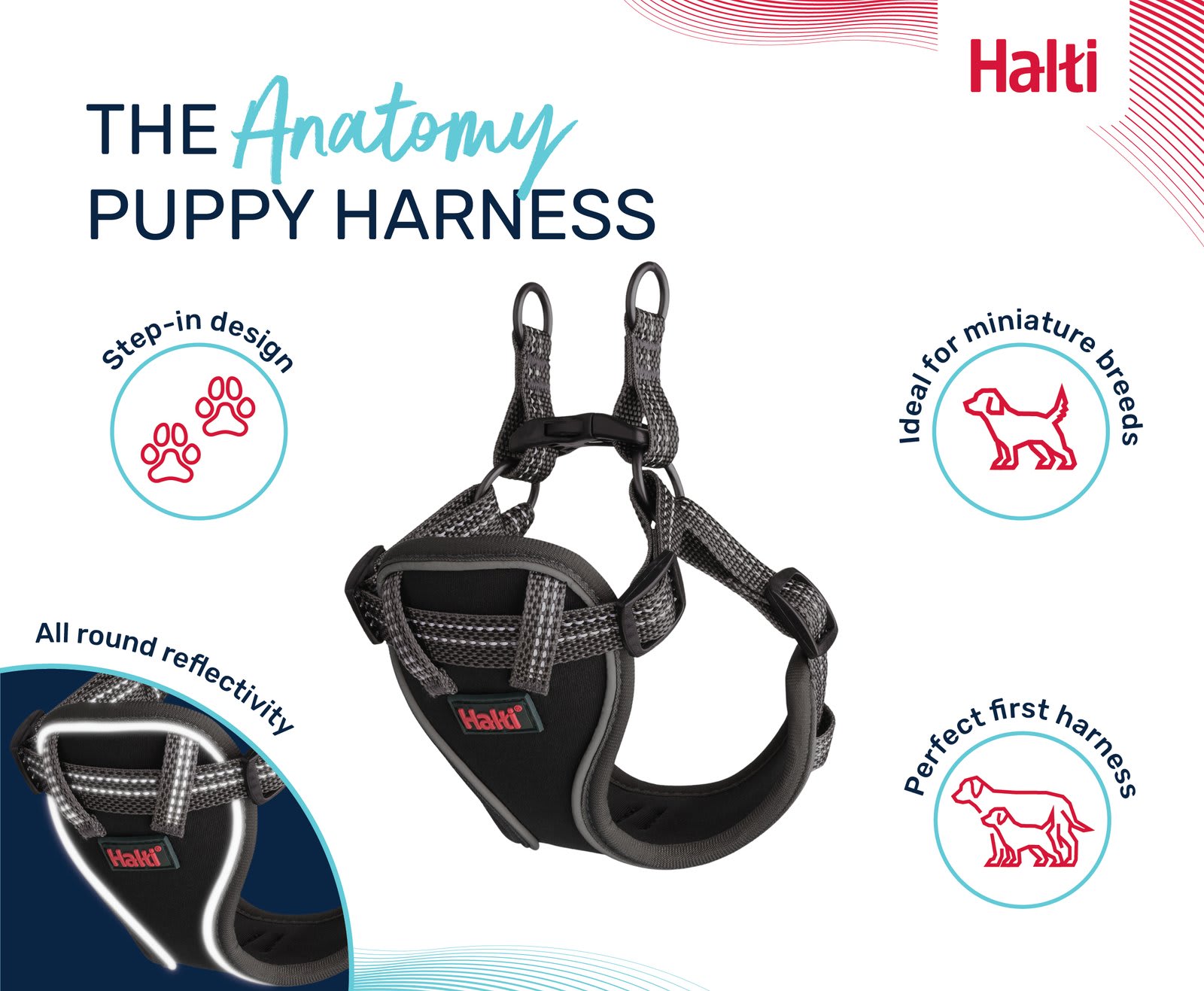 HALTI Anatomy Puppy Harness - Grey