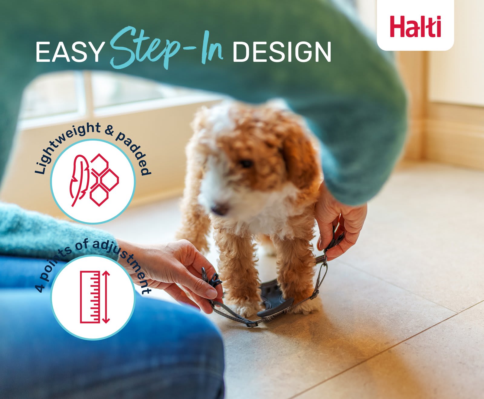 HALTI Anatomy Puppy Harness - Grey