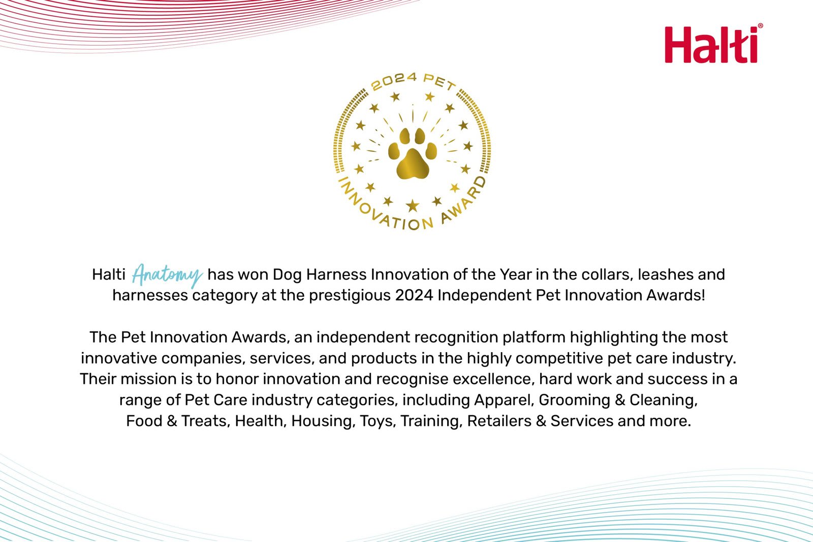 HALTI Anatomy Puppy Harness - Grey