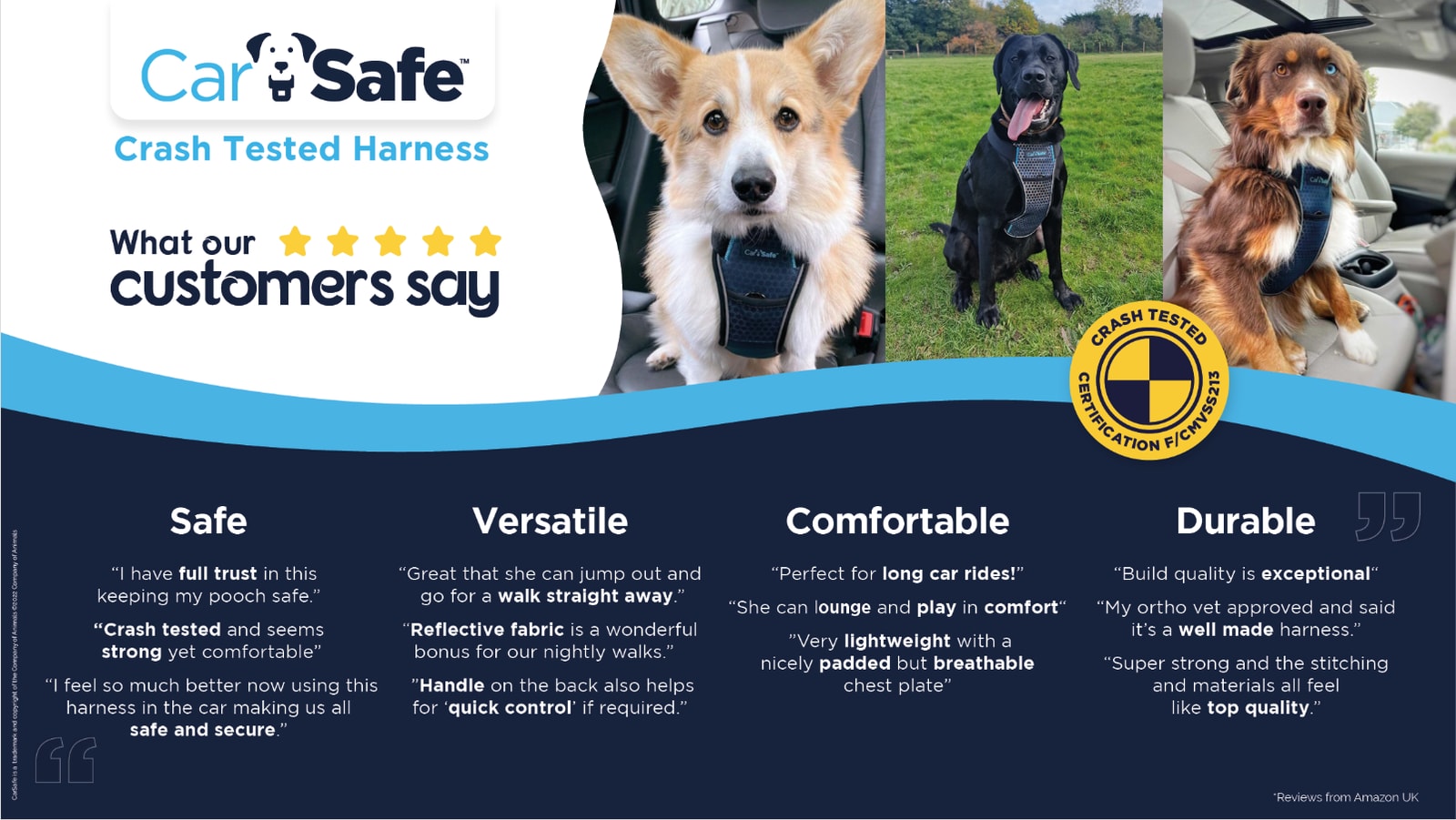 Carsafe Crash Tested Travel Harness - Blue