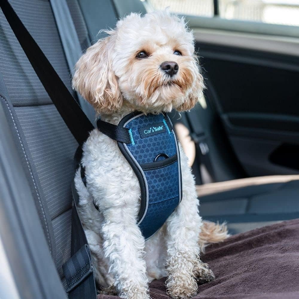 Carsafe Crash Tested Travel Harness - Blue