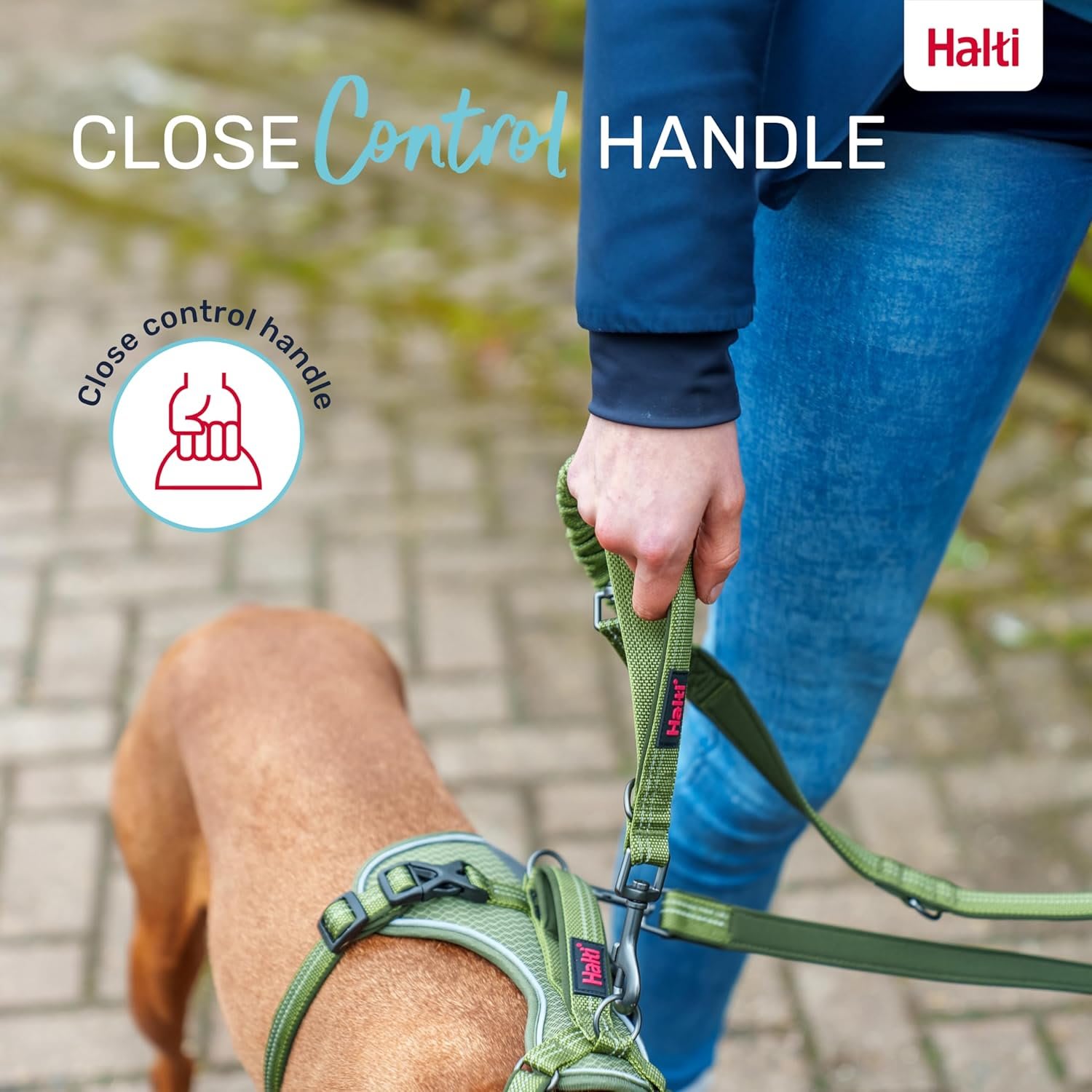 HALTI Anatomy Dog Lead - Grey