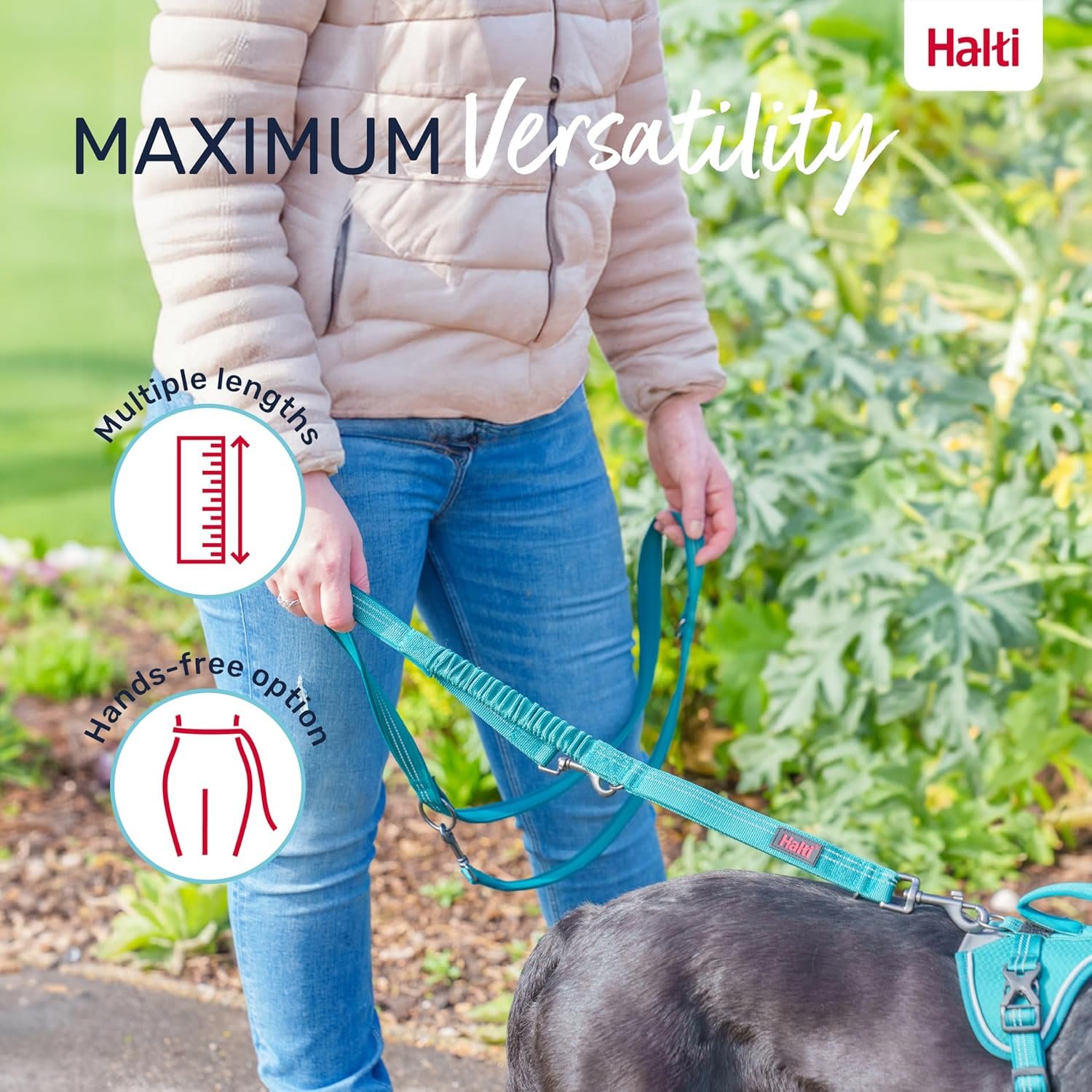 HALTI Anatomy Dog Lead - Grey