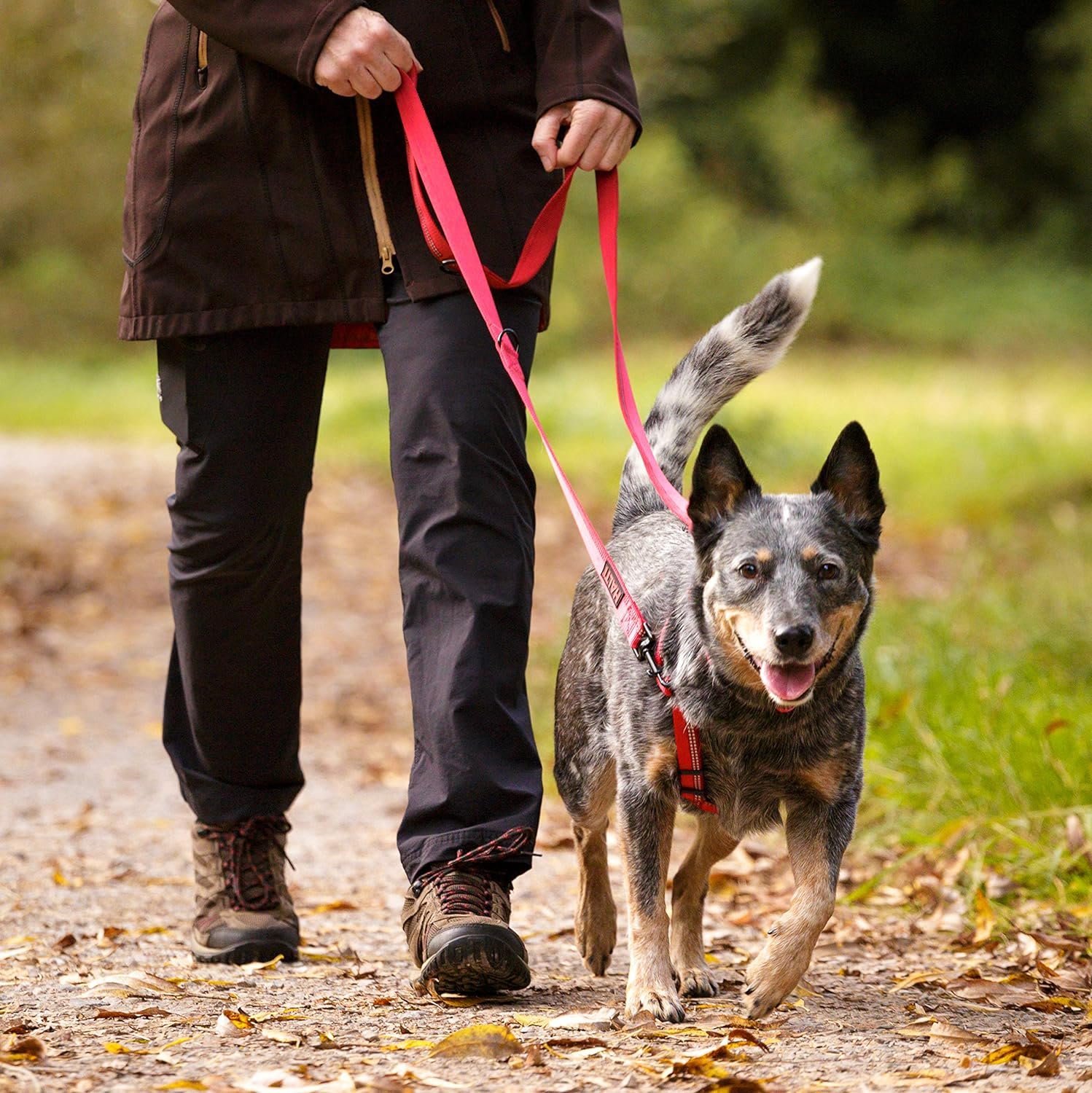 HALTI Double Ended Dog Lead - Black