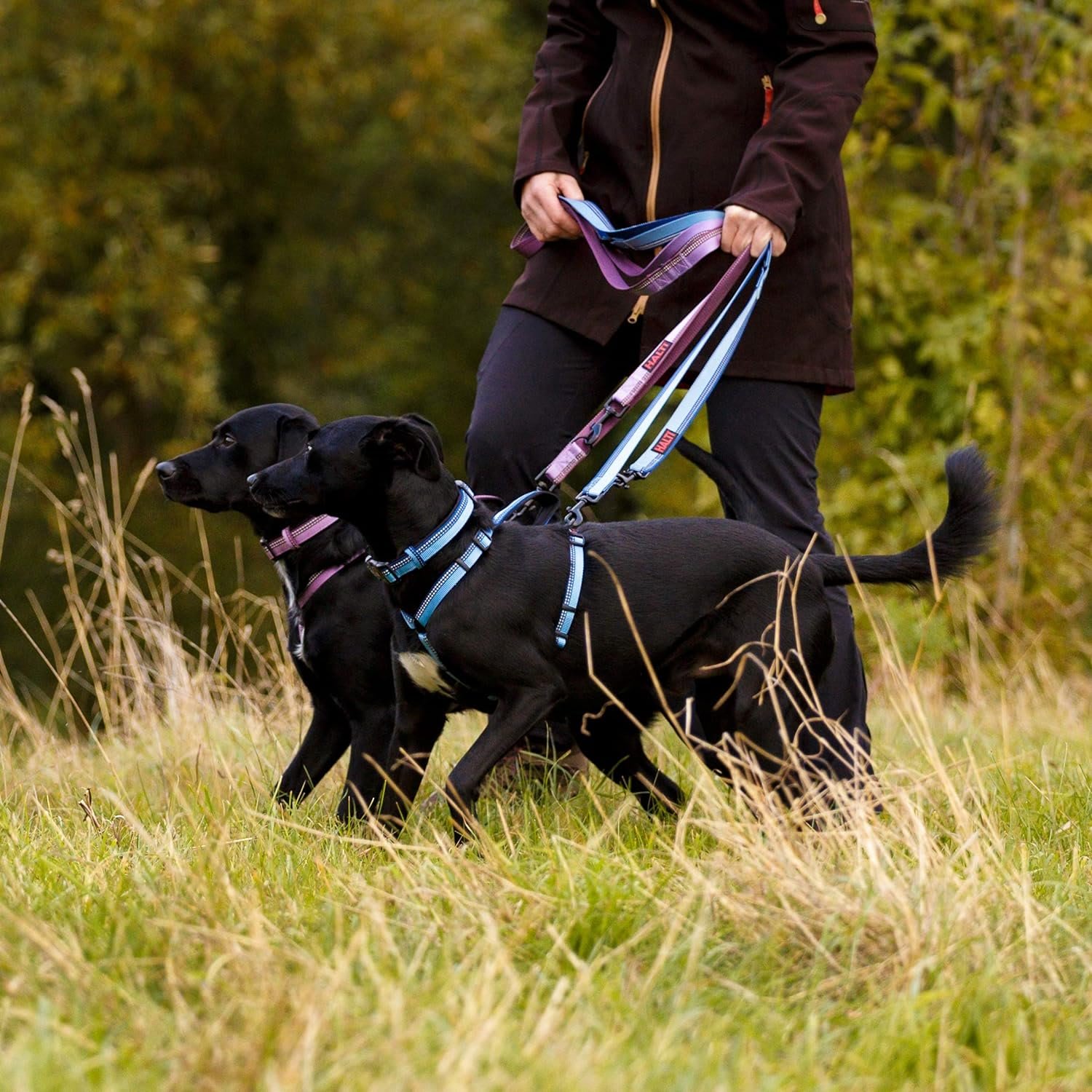 HALTI Double Ended Dog Lead - Black
