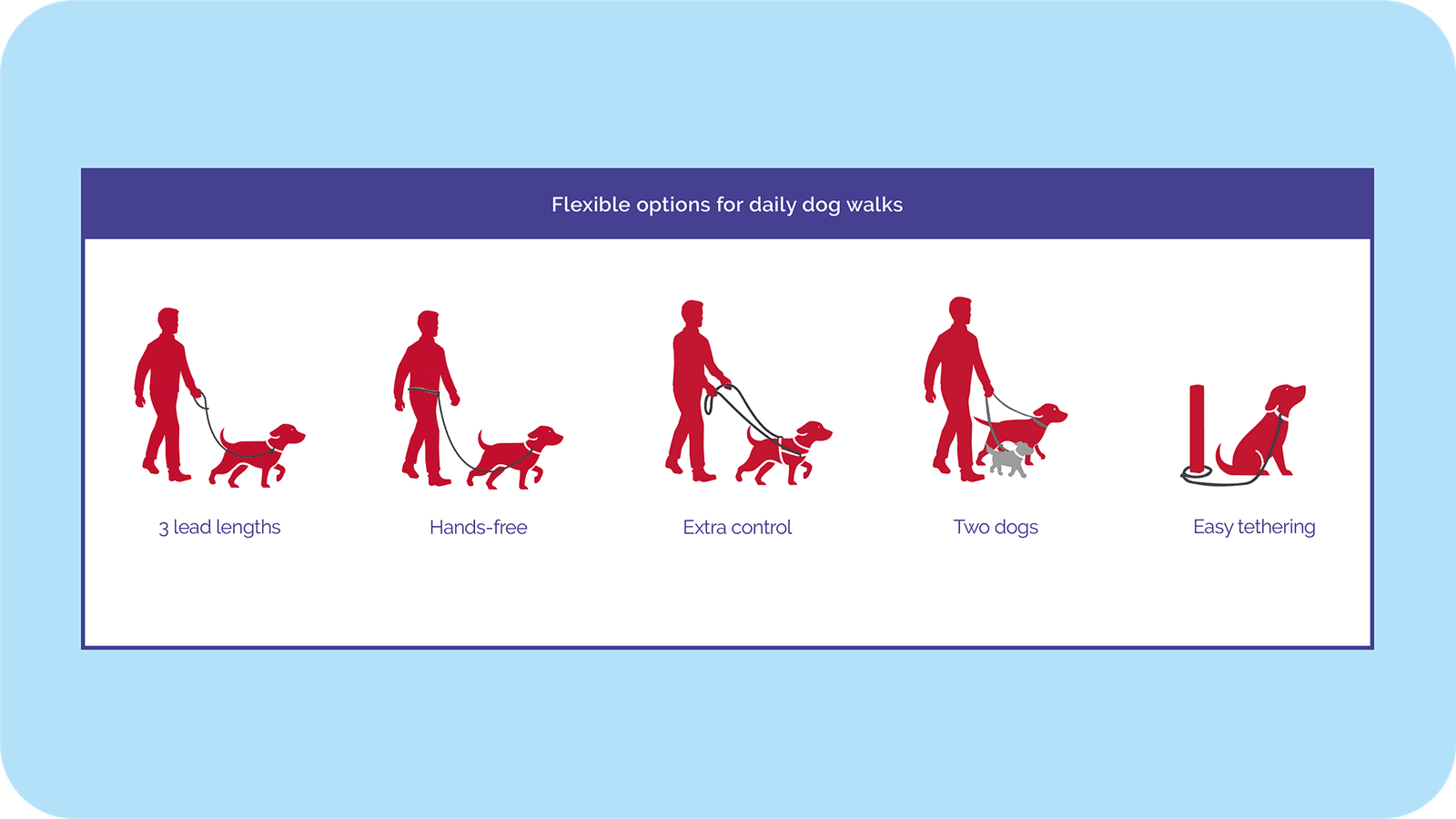 HALTI Double Ended Dog Lead - Purple