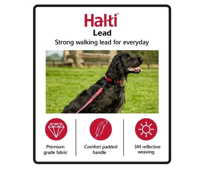HALTI Walking Dog Lead - Black