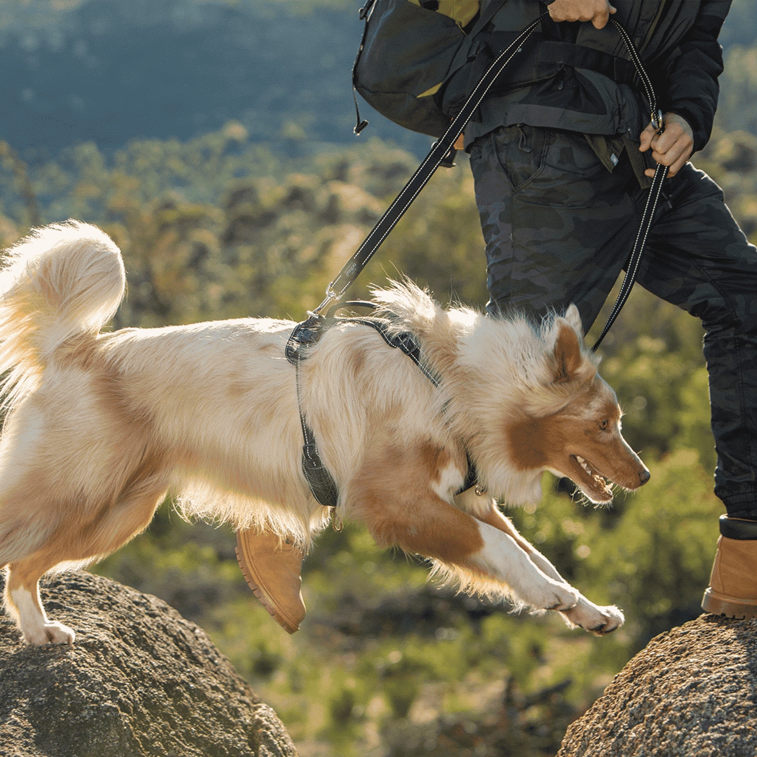 Multi Double Dog Lead - Red