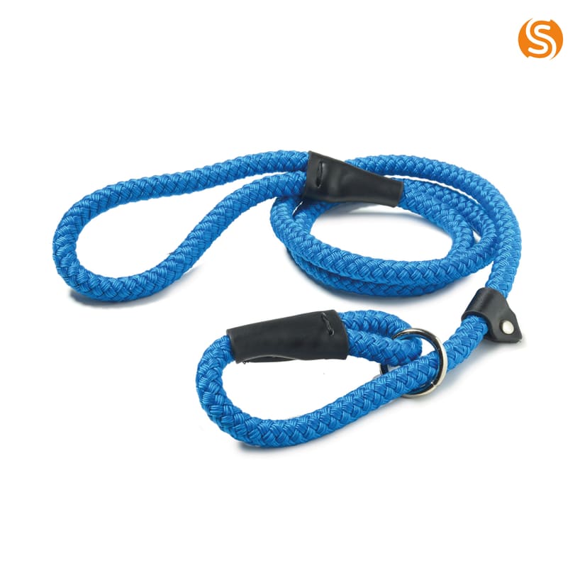 Rope Dog Slip Lead - Blue