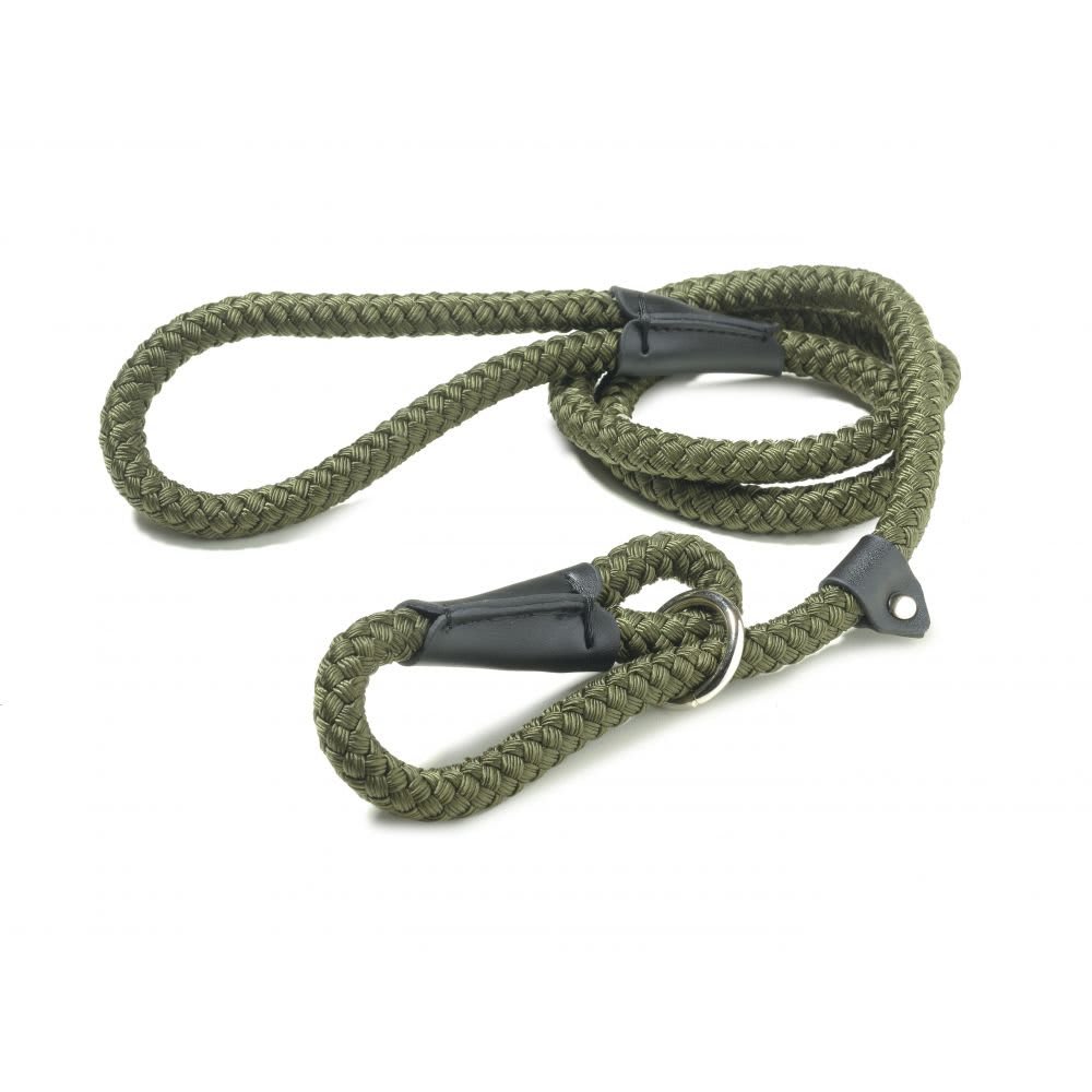Rope Dog Slip Lead - Green