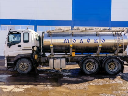 Поголовье крупного рогатого скота в Татарстане продолжает сокращаться