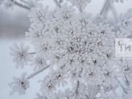 Самым холодным днем этой недели в РТ будет среда