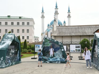 В Казани открылась экспозиция об ирбисе