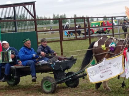 Участие на параде лошадей.