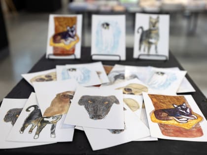 Объявлен третий грантовый конкурс «Лапа дружбы» среди образовательных учреждений Казани