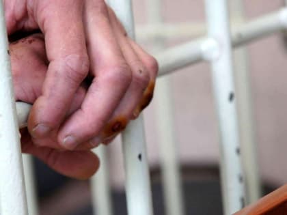 «Поволжский маньяк» оказался недоволен работой адвоката