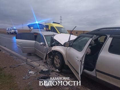 В Татарстане в аварии погибли мать и дочь