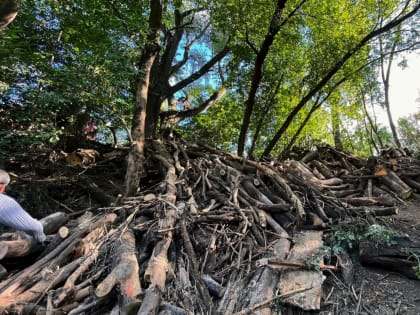 Рушат дамбы, разбирают завалы: как Казанку спасают от обмеления