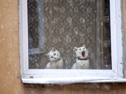 2 марта в Татарстане ожидаются метели и порывистый ветер до 15 м/с