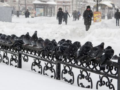 Россиянам рассказали о погоде в феврале – в Казани и Москве будет холодно
