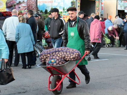 На осенних сельхозярмарках в Казани реализовали продукцию почти на 660 млн рублей