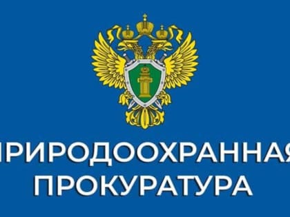 Нарушения в сфере обращения с отходами в Казани