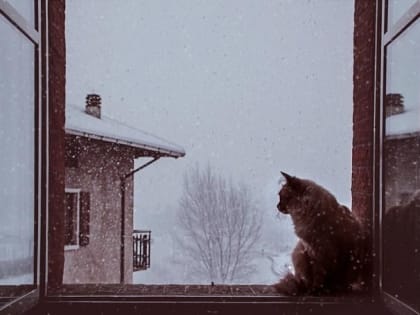 Сильный порывистый ветер до 18 м/с накроет Татарстан в первый день весны