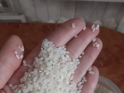 Углеводы в рационе. Кому, зачем и сколько?