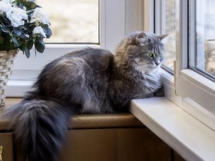 Похолодание до -11 градусов ожидается в Татарстане в ближайшие сутки