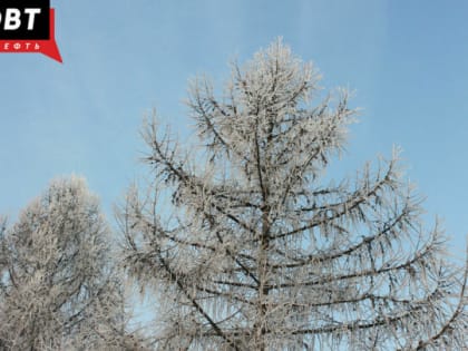 В Татарстане может похолодать до минус 20 градусов 