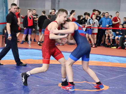 В Зеленодольске провели Первенство Республики Татарстан по греко-римской борьбе