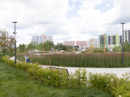 Летний «КультТорг» в Салават Купере: гаражная распродажа, барахолка и обмен растениями