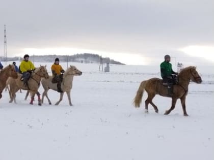 В Лениногорском районе прошла национальная игра «Улак-Күк Бүре”