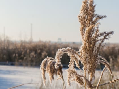Метеоролог КФУ сообщил, когда в Казань придет потепление