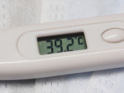 Вирус гриппа B обнаружили в 64 субъектах России