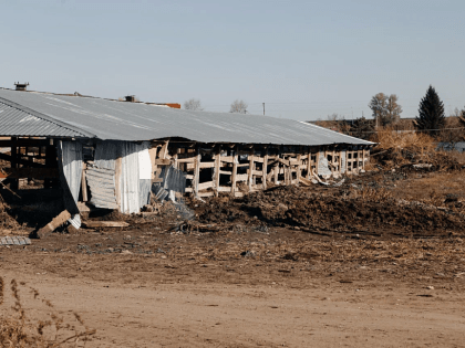 Тукаевские фермеры жалуются на тройные проверки, которые не дают работать