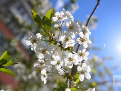 Синоптики рассказали о погоде в июне