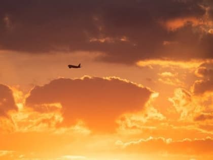 Главное о коронавирусе за неделю: риски новых штаммов, визовый режим в Индонезии