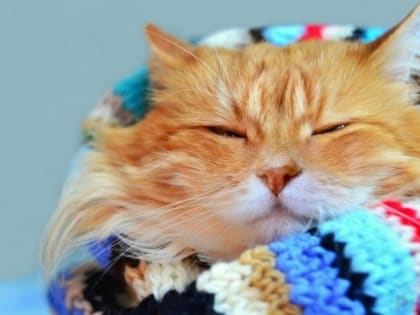 Холодное лето: порывистый ветер и до +3 градусов ожидаются в Татарстане 22 июня