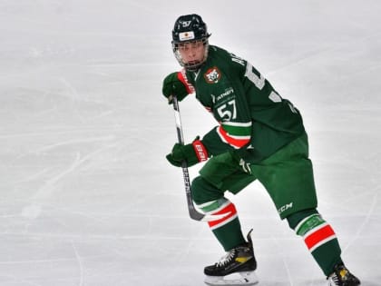 Казанский «Ирбис» обыграл «Красноярских рысей» в первом матче года в МХЛ