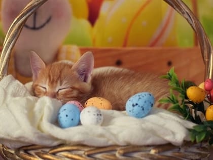 В пасхальное воскресенье в Татарстане ожидается сильный ветер и до +13 градусов